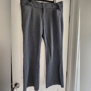 Torrid studio 18R boot cut